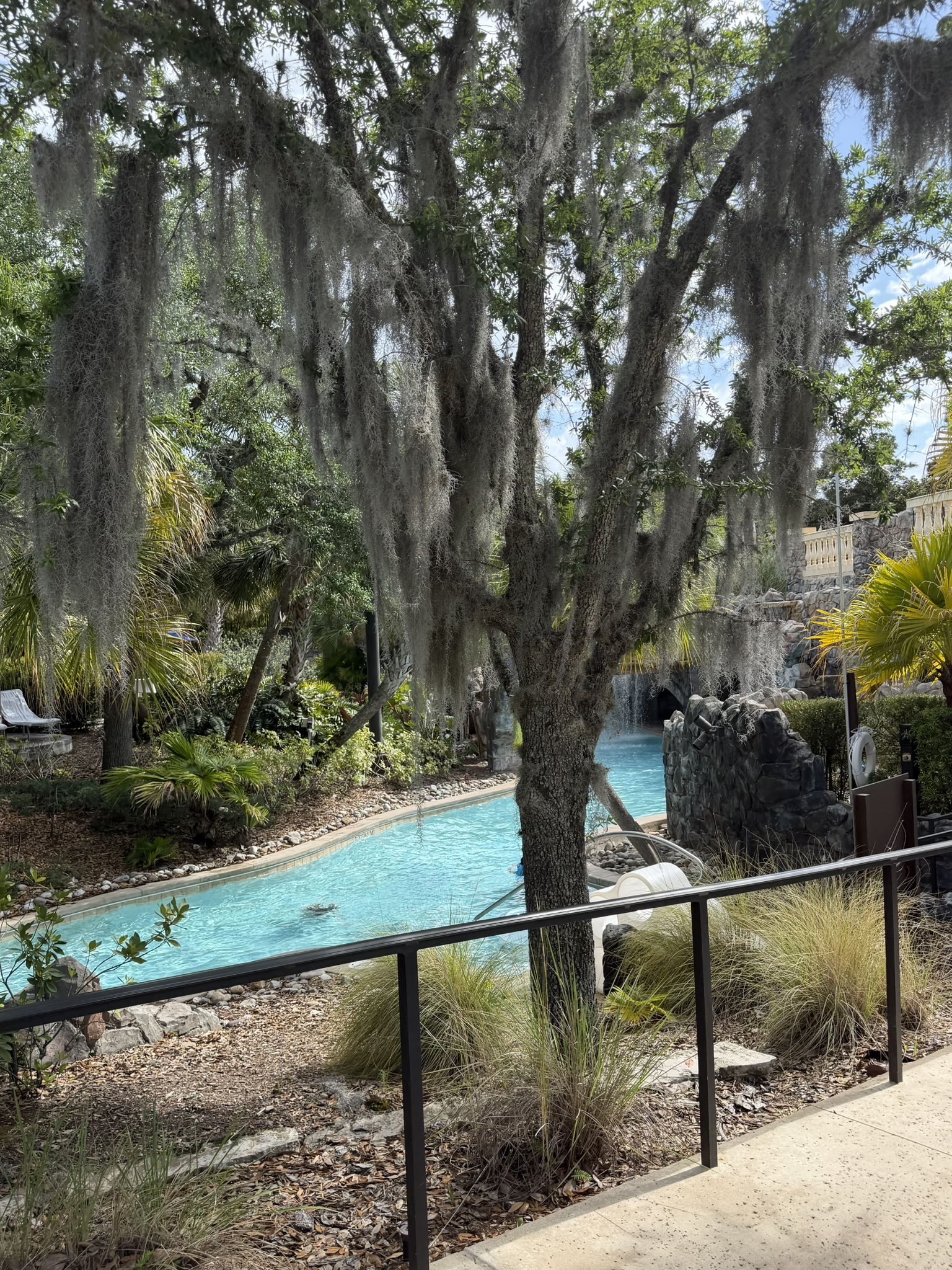 Lazy river winding through Spanish moss-draped oaks